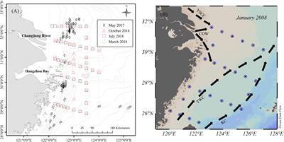 A Neural Network-Based Analysis of the Seasonal Variability of Surface Total Alkalinity on the East China Sea Shelf